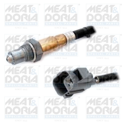 Oxygen Sensor